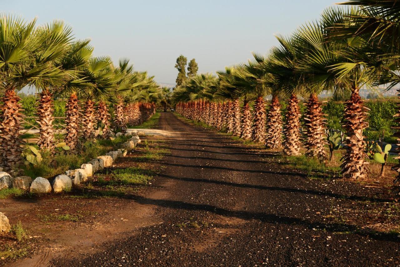 Agriturismo Papyrus Siraküza Dış mekan fotoğraf