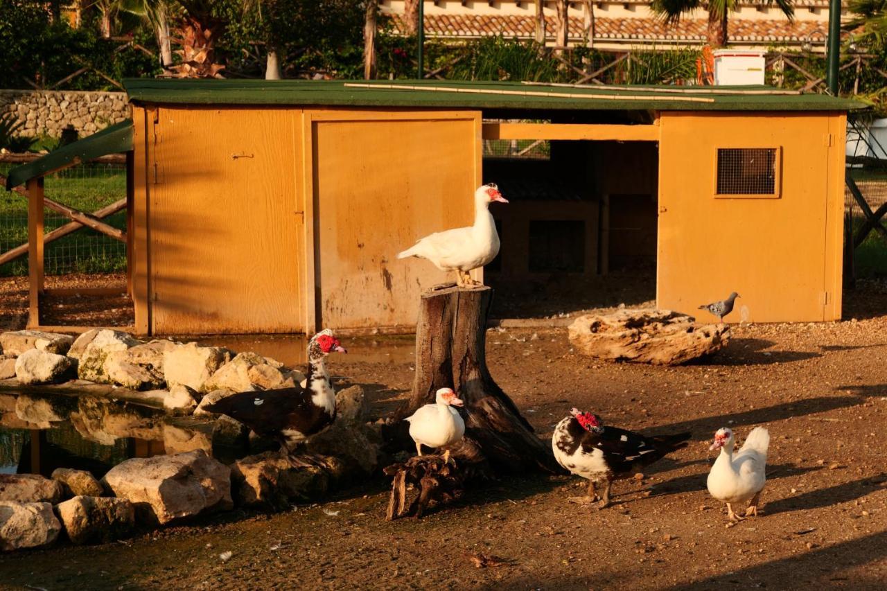 Agriturismo Papyrus Siraküza Dış mekan fotoğraf